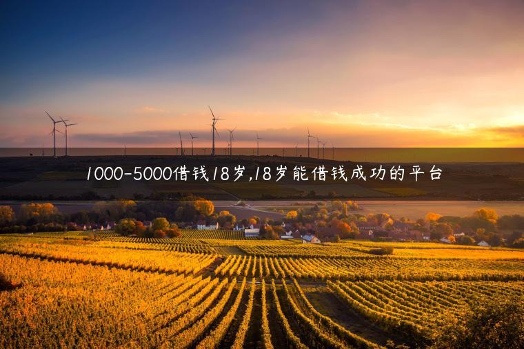 1000-5000借钱18岁,18岁能借钱成功的平台