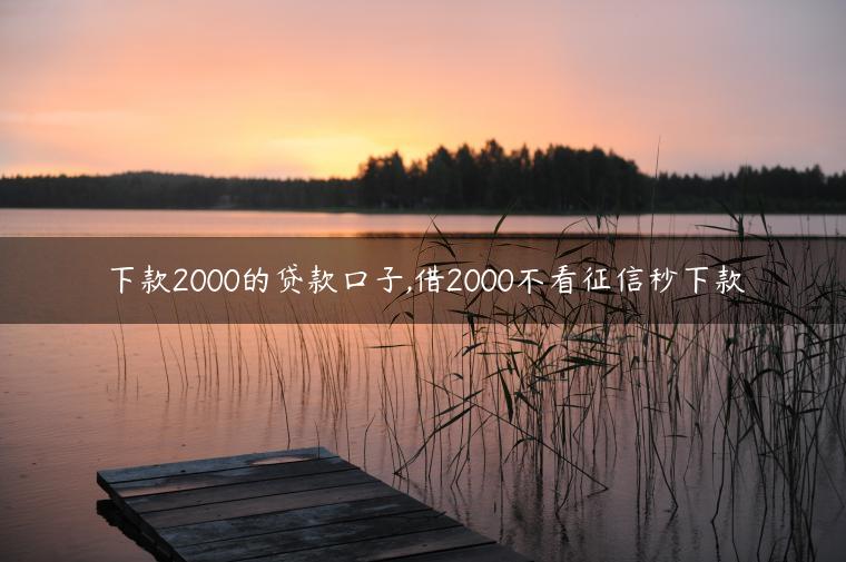 下款2000的贷款口子,借2000不看征信秒下款