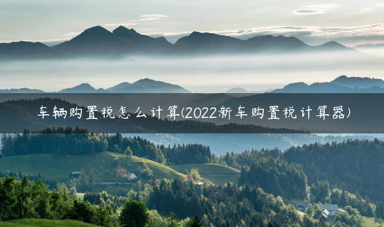 车辆购置税怎么计算(2022新车购置税计算器)