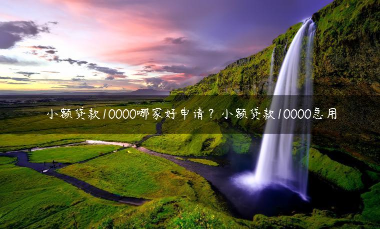 小额贷款10000哪家好申请？小额贷款10000急用