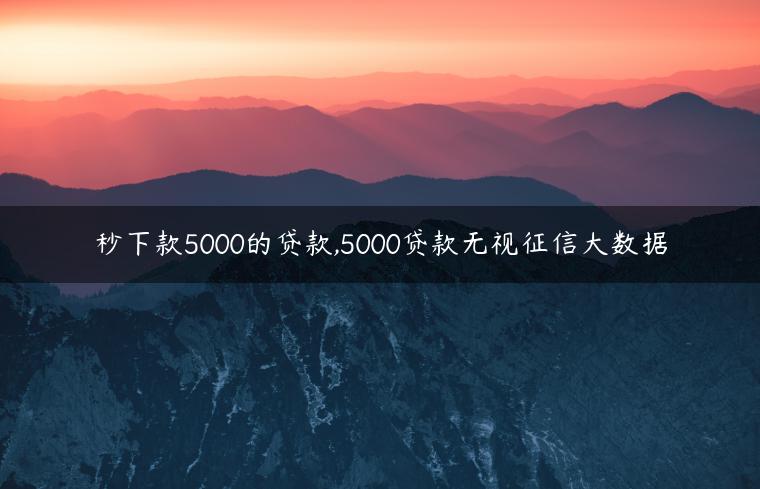 秒下款5000的贷款,5000贷款无视征信大数据