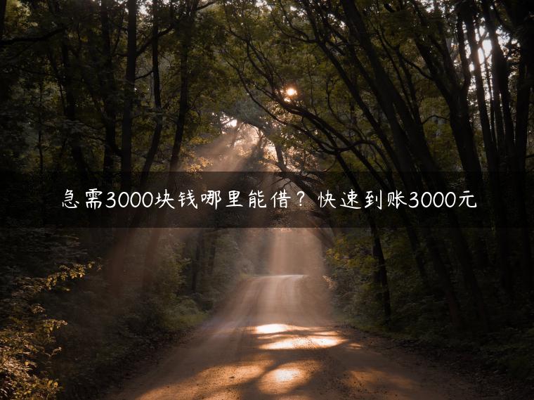 急需3000块钱哪里能借？快速到账3000元