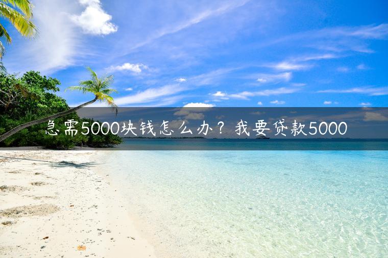 急需5000块钱怎么办？我要贷款5000