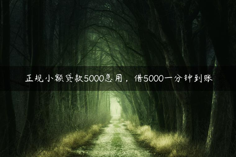 正规小额贷款5000急用，借5000一分钟到账