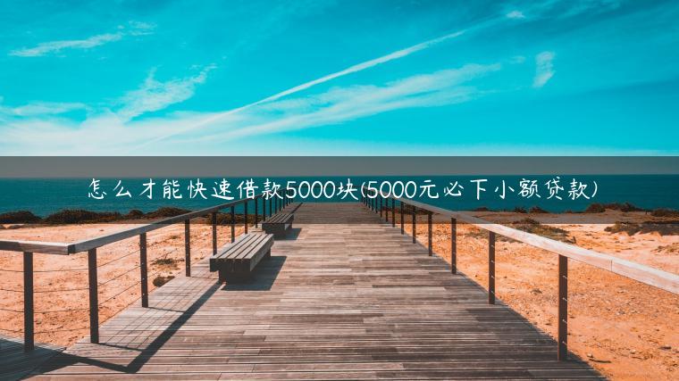 怎么才能快速借款5000块(5000元必下小额贷款)