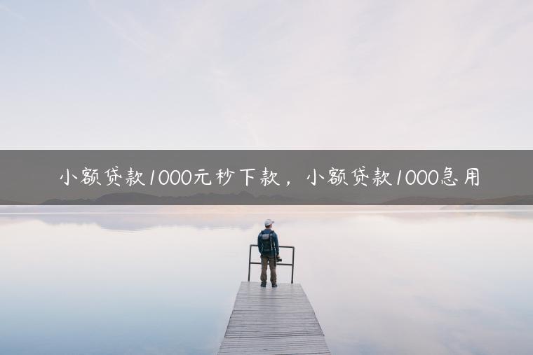 小额贷款1000元秒下款，小额贷款1000急用