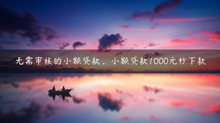 无需审核的小额贷款，小额贷款1000元秒下款