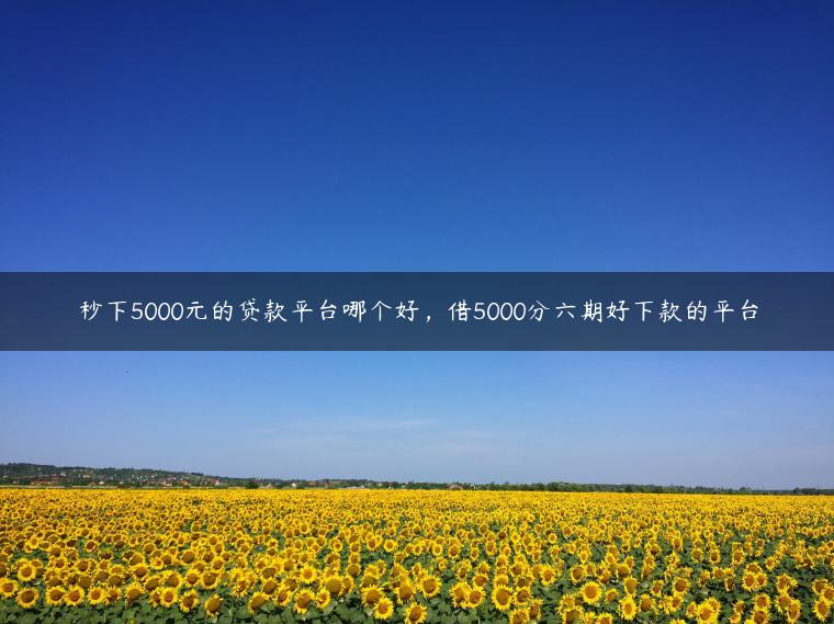 秒下5000元的贷款平台哪个好，借5000分六期好下款的平台