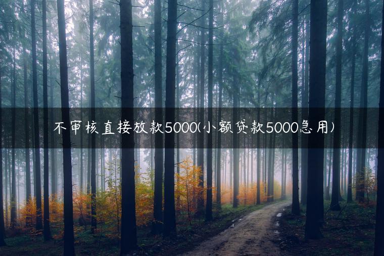 不审核直接放款5000(小额贷款5000急用)