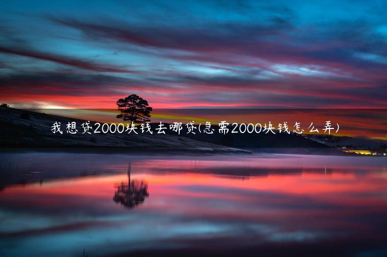 我想贷2000块钱去哪贷(急需2000块钱怎么弄)