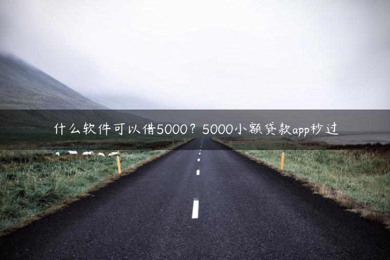 什么软件可以借5000？5000小额贷款app秒过