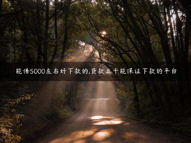 能借5000左右好下款的,货款五千能保证下款的平台