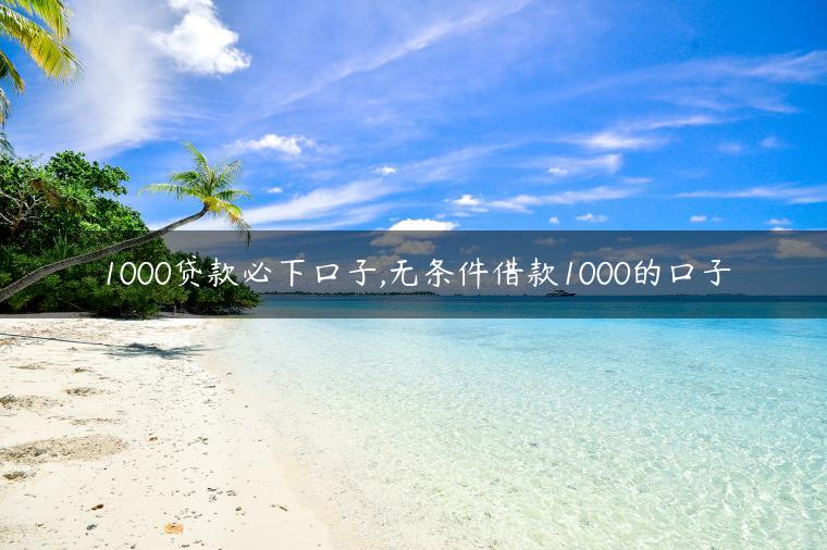 1000贷款必下口子,无条件借款1000的口子