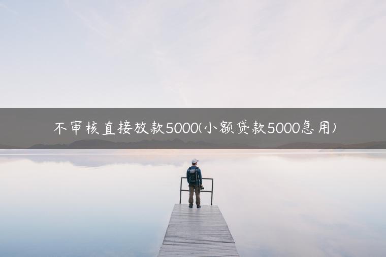 不审核直接放款5000(小额贷款5000急用)