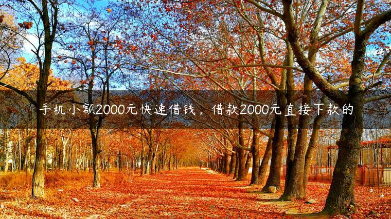 手机小额2000元快速借钱，借款2000元直接下款的