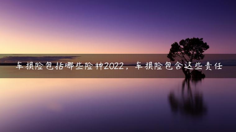 车损险包括哪些险种2022，车损险包含这些责任