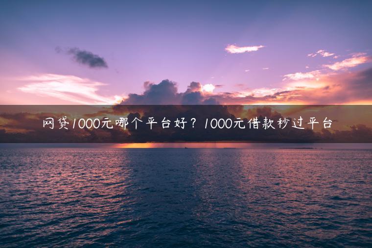 网贷1000元哪个平台好？1000元借款秒过平台