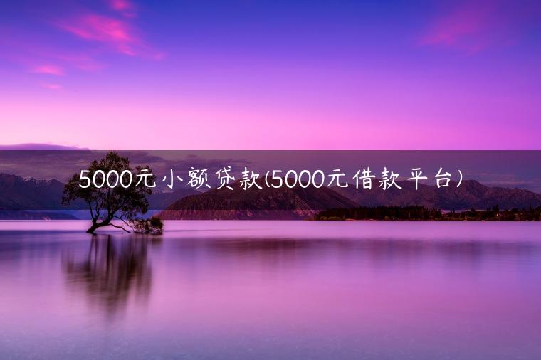 5000元小额贷款(5000元借款平台)