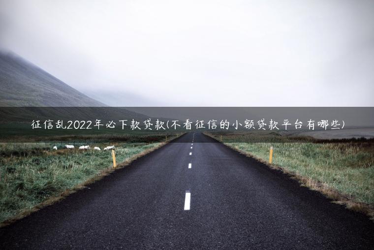 征信乱2022年必下款贷款(不看征信的小额贷款平台有哪些)