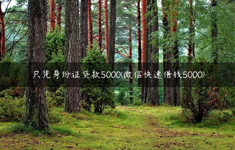 只凭身份证贷款5000(微信快速借钱5000)