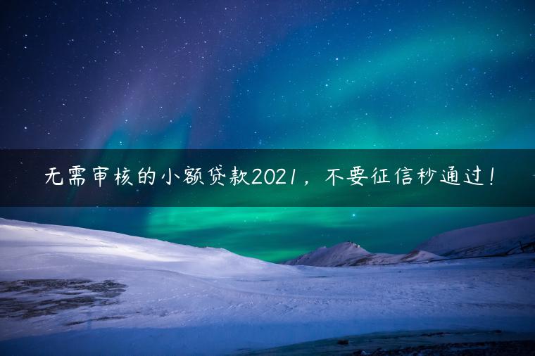 无需审核的小额贷款2021，不要征信秒通过！