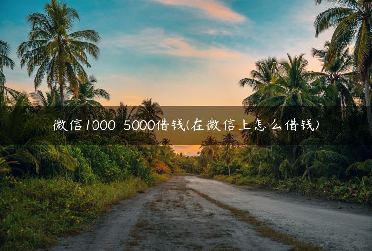 微信1000-5000借钱(在微信上怎么借钱)