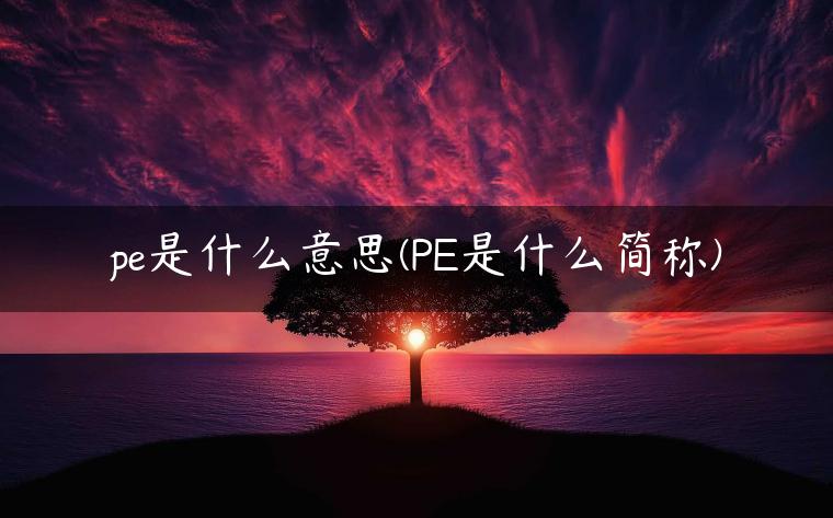 pe是什么意思(PE是什么简称)