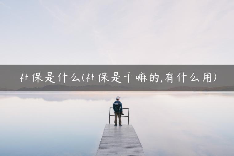 社保是什么(社保是干嘛的,有什么用)