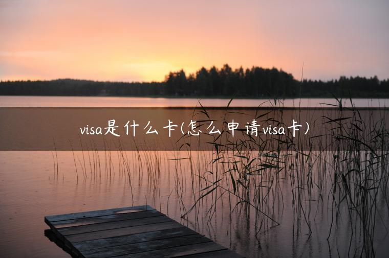 visa是什么卡(怎么申请visa卡)