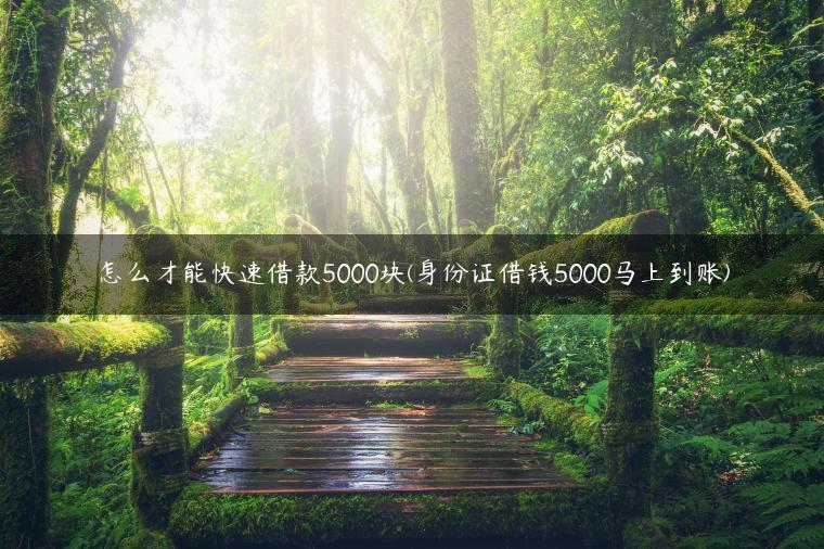 怎么才能快速借款5000块(身份证借钱5000马上到账)