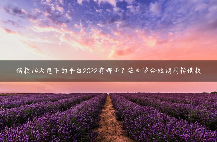 借款14天包下的平台2022有哪些？这些适合短期周转借款