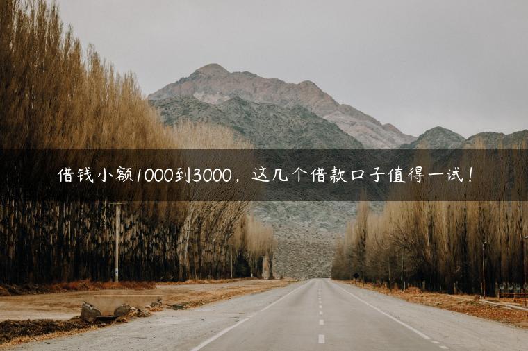 借钱小额1000到3000，这几个借款口子值得一试！