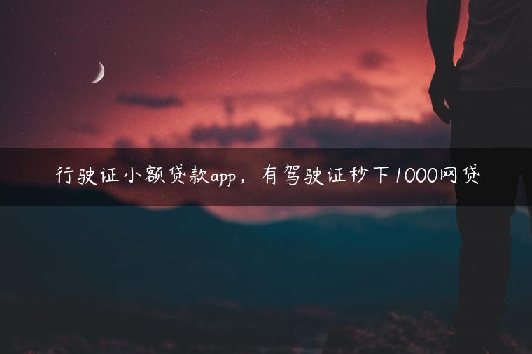 行驶证小额贷款app，有驾驶证秒下1000网贷