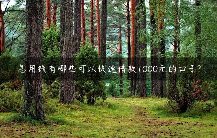 急用钱有哪些可以快速借款1000元的口子?