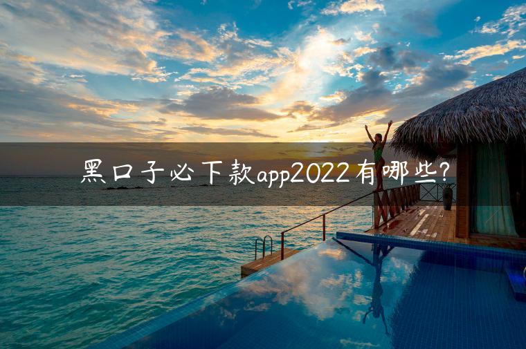 黑口子必下款app2022有哪些?