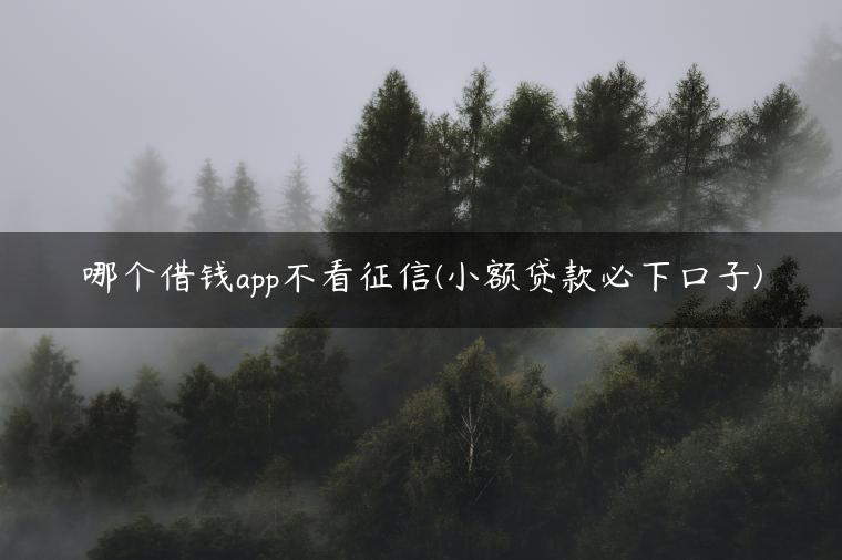 哪个借钱app不看征信(小额贷款必下口子)