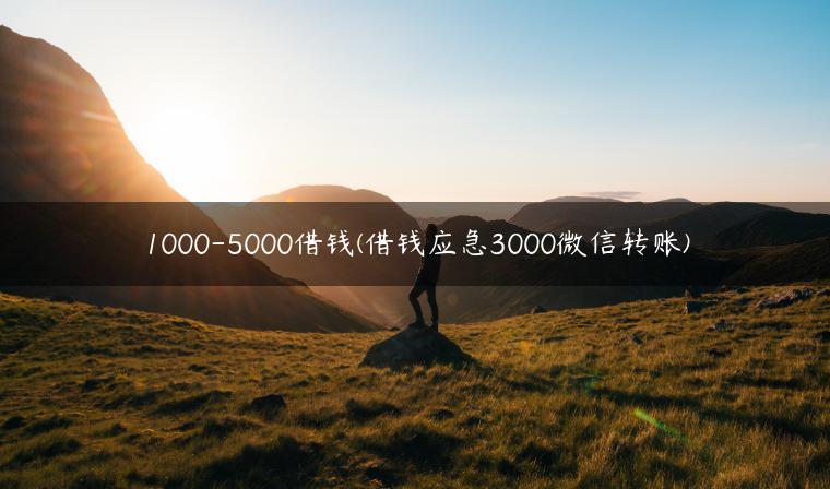 1000-5000借钱(借钱应急3000微信转账)