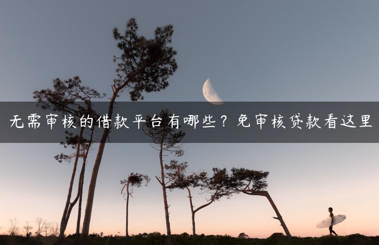 无需审核的借款平台有哪些？免审核贷款看这里