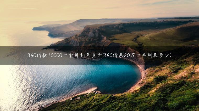 360借款10000一个月利息多少(360借条20万一年利息多少)