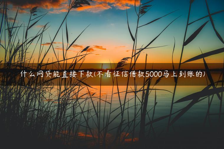 什么网贷能直接下款(不看征信借款5000马上到账的)