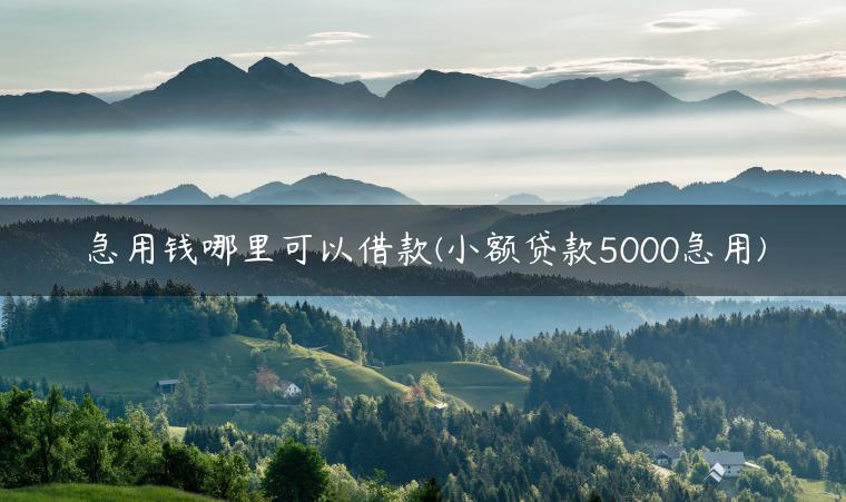 急用钱哪里可以借款(小额贷款5000急用)