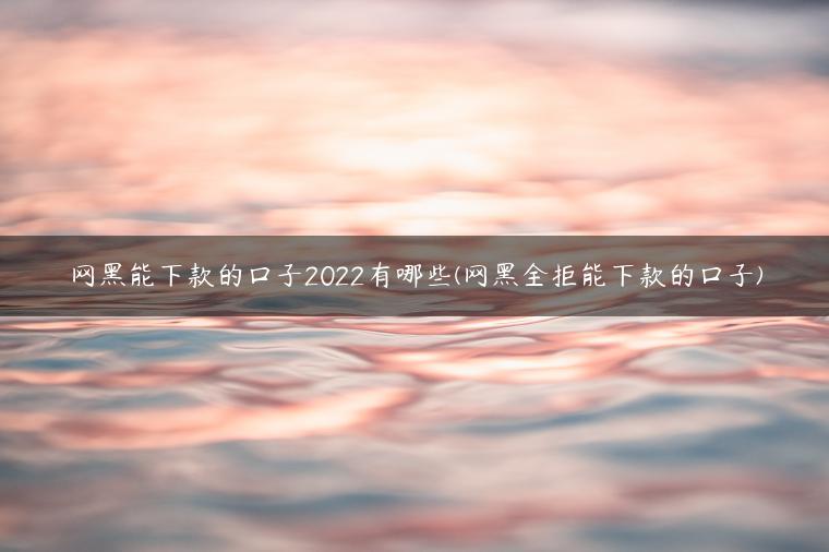 网黑能下款的口子2022有哪些(网黑全拒能下款的口子)