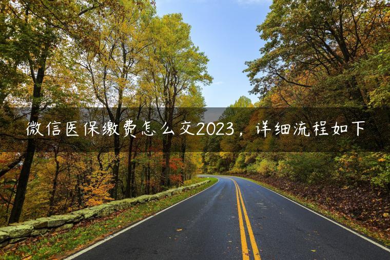 微信医保缴费怎么交2023，详细流程如下