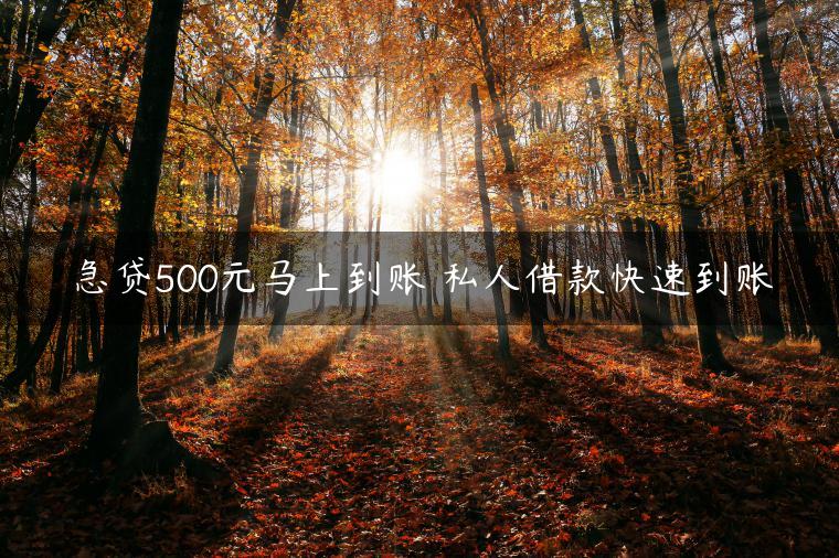 急贷500元马上到账 私人借款快速到账