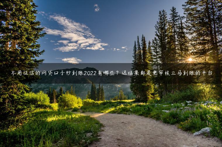 不用征信的网贷口子秒到账2022有哪些？这结果都是免审核立马到账的平台