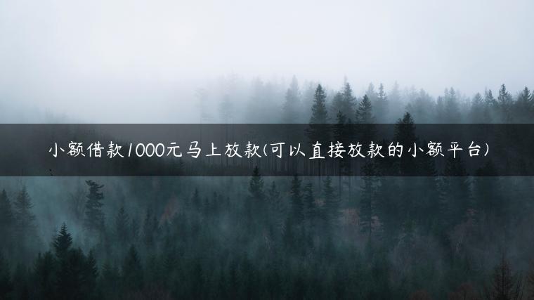 小额借款1000元马上放款(可以直接放款的小额平台)