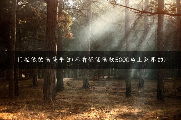 门槛低的借贷平台(不看征信借款5000马上到账的)