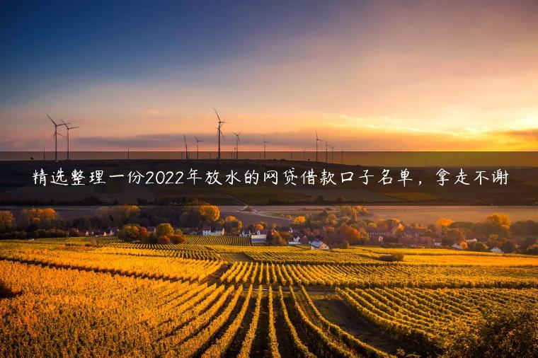 精选整理一份2022年放水的网贷借款口子名单，拿走不谢