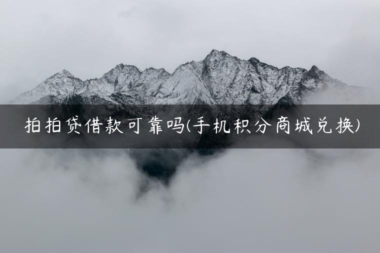 拍拍贷借款可靠吗(手机积分商城兑换)