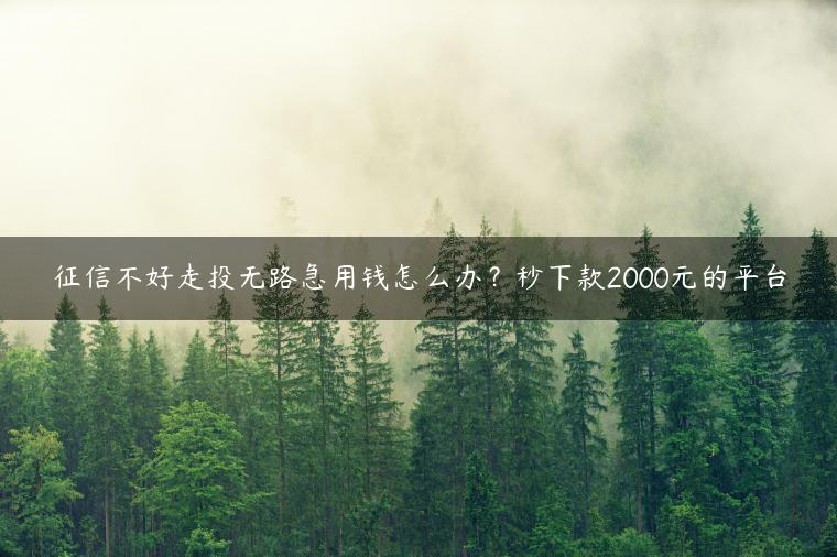 征信不好走投无路急用钱怎么办？秒下款2000元的平台